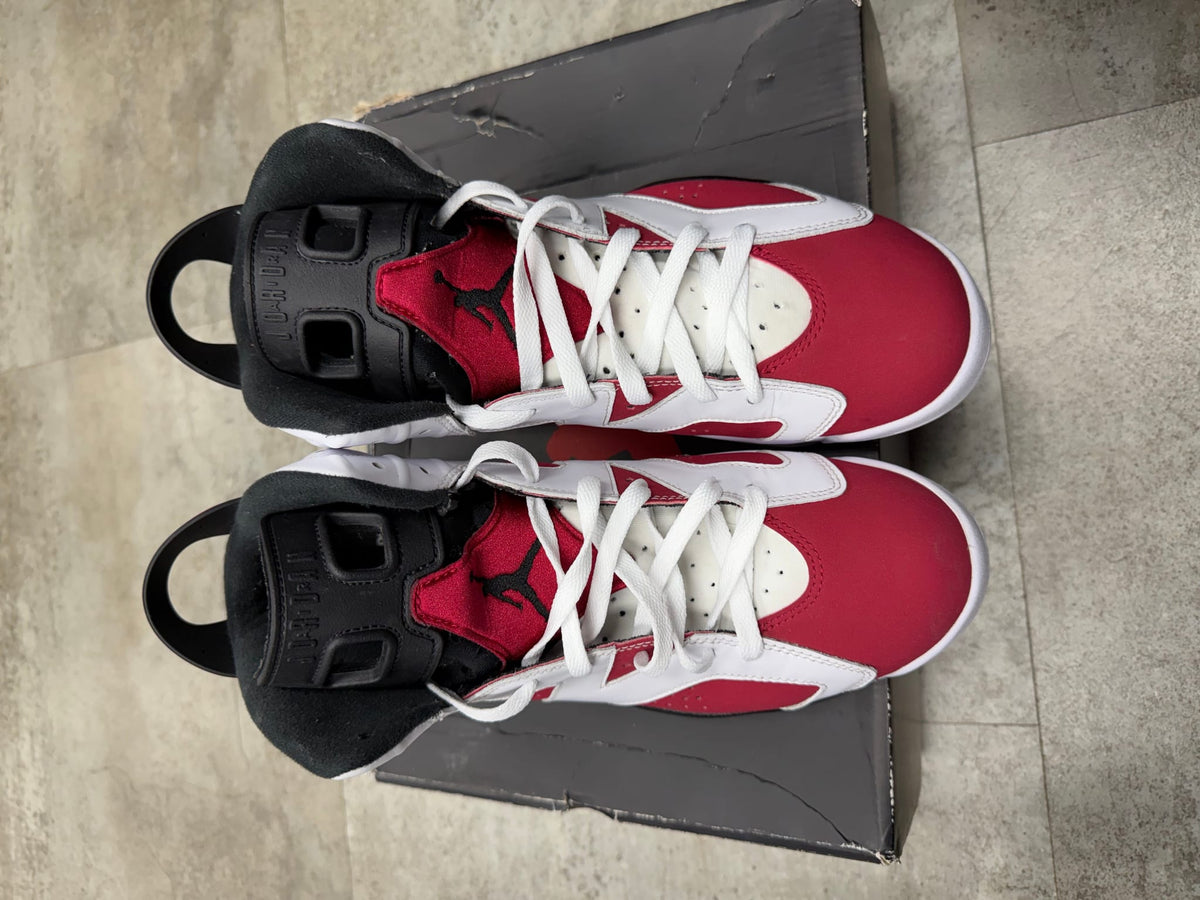Jordan 6 Retro Carmine (2021)